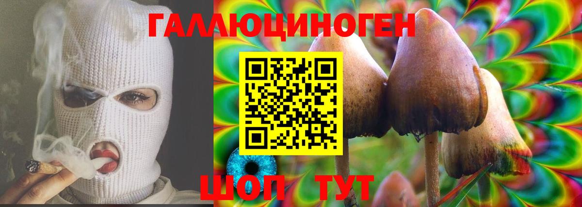 Псилоцибиновые грибы Magic Shrooms  Вход с VPN  Новозыбков 